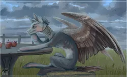 Size: 1280x776 | Tagged: safe, artist:afialtis, derpibooru import, oc, unofficial characters only, pegasus, pony, apple, bandage, emaciated, food, image, male, png, sitting, skinny, spread wings, stallion, table, thin, wings