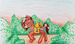 Size: 2096x1234 | Tagged: safe, artist:mintytreble, derpibooru import, earth pony, hybrid, mule, pony, coffee, colombia, image, jpeg, reins, solo, traditional art