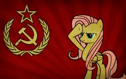 Size: 2560x1600 | Tagged: safe, derpibooru import, fluttershy, pegasus, pony, g4, communism, female, high res, image, jpeg, poster, socialism, solo, soviet