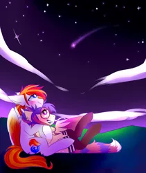 Size: 3800x4500 | Tagged: safe, artist:amiicommissions, derpibooru import, oc, oc:cookie, oc:heartfire, unofficial characters only, pegasus, pony, female, glasses, image, male, mare, night, oc x oc, outdoors, png, shipping, shooting star, stallion, straight