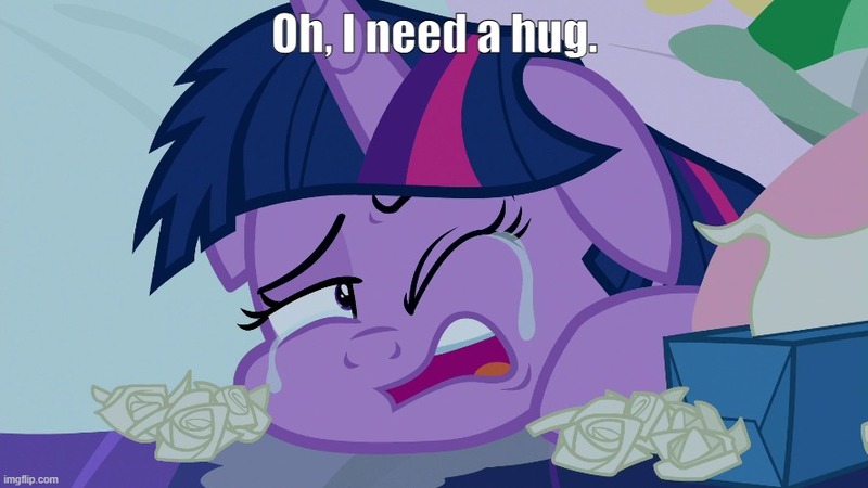 Size: 888x499 | Tagged: safe, derpibooru import, screencap, twilight sparkle, g4, school daze, bronybait, caption, crying, hugs needed, image, image macro, imgflip, jpeg, text