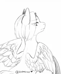 Size: 1067x1280 | Tagged: safe, artist:illustra, derpibooru import, oc, unofficial characters only, pony, black and white, bust, eye clipping through hair, eyebrows, eyebrows visible through hair, female, female oc, grayscale, heart, image, jpeg, looking at you, mare, mare oc, monochrome, rear view, signature, simple background, sketch, solo, spread wings, white background, wings