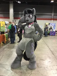 Size: 1200x1600 | Tagged: safe, derpibooru import, octavia melody, human, 2019, fursuit, hoof on chin, image, indoors, irl, irl human, jpeg, midwest furfest, photo, ponysuit, pose, solo focus