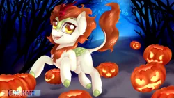 Size: 1920x1080 | Tagged: safe, artist:tokokami, derpibooru import, autumn blaze, kirin, pony, g4, sounds of silence, female, halloween, halloween 2018, holiday, image, jack-o-lantern, png, pumpkin, solo