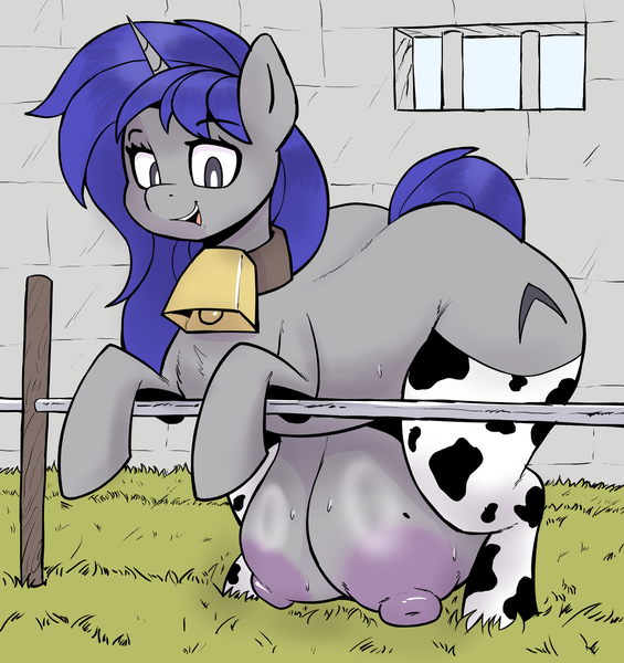 Size: 3139x3333 | Tagged: questionable, artist:ahobobo, derpibooru import, oc, unofficial characters only, pony, unicorn, areola, bell, bell collar, big areola, big crotchboobs, big nipples, bipedal, bipedal leaning, clothes, collar, cowbell, cowprint, crotchboobs, female, high res, horn, huge crotchboobs, image, impossibly large crotchboobs, leaning, looking at you, mare, nipples, nudity, png, smiling, smiling at you, socks, solo, solo female, stockings, sweat, thigh highs