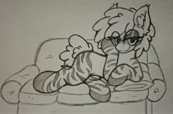 Size: 4080x2697 | Tagged: safe, artist:aryn, derpibooru import, oc, oc:cream, unofficial characters only, earth pony, hybrid, pony, zebra, zony, bedroom eyes, couch, image, jpeg, looking at you, lying down, side, smiling, smiling at you, solo