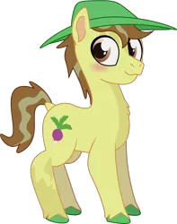 Size: 888x1128 | Tagged: safe, artist:prixy05, derpibooru import, hayseed turnip truck, earth pony, pony, series:magic forest, g4, hat, image, male, png, simple background, solo, stallion, transparent background, vector