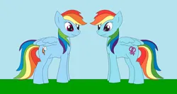 Size: 1364x725 | Tagged: safe, artist:marybethemberjoy49-1, derpibooru import, rainbow dash, pegasus, .mov, swag.mov, female, image, png, pony.mov, solo