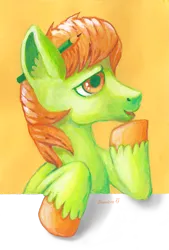 Size: 2011x2982 | Tagged: safe, artist:drawirm, derpibooru import, oc, unofficial characters only, earth pony, pony, image, male, pencil, pencil behind ear, png, solo, stallion, traditional art, unshorn fetlocks