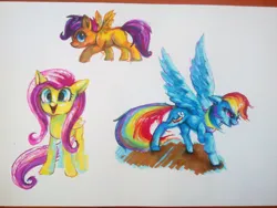 Size: 2828x2121 | Tagged: safe, artist:drawirm, derpibooru import, fluttershy, rainbow dash, scootaloo, pegasus, pony, g4, female, filly, foal, image, jpeg, mare, simple background, spread wings, traditional art, trio, white background, wings