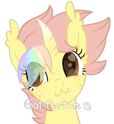 Size: 2322x2525 | Tagged: safe, artist:ponkus, derpibooru import, oc, oc:ponkus, bat pony, bat pony unicorn, hybrid, pony, unicorn, female, horn, image, mare, png, shitposting, simple background, solo, transparent background