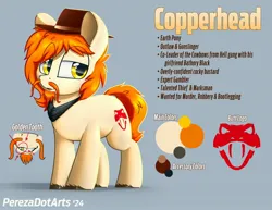 Size: 2048x1583 | Tagged: safe, artist:perezadotarts, ponerpics import, oc, oc:copperhead, unofficial characters only, earth pony, pony, beard, facial hair, hat, image, jpeg, male, moustache, reference sheet, solo, stallion