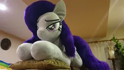 Size: 4032x2268 | Tagged: safe, artist:ponimalion, derpibooru import, oc, oc:morning glory (project horizons), pegasus, pony, fallout equestria, fallout equestria: project horizons, fanfic art, female, image, irl, jpeg, mare, photo, plushie, solo