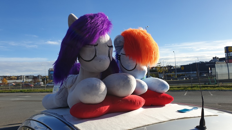 Size: 4032x2268 | Tagged: safe, artist:ponimalion, derpibooru import, rainbow dash, oc, oc:morning glory (project horizons), pegasus, pony, fallout equestria, fallout equestria: project horizons, fanfic art, female, image, irl, jpeg, mare, photo, plushie