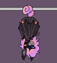 Size: 928x1026 | Tagged: safe, artist:arsonrabbit, derpibooru import, oc, oc:wild peach, unofficial characters only, bat pony, g4, bat pony oc, bat wings, black coat, blue eyes, choker, digital art, female, hanging, hanging by tail, hanging upside down, image, jewelry, looking away, necklace, one eye closed, pink hair, pink mane, pink tail, png, purple background, simple background, solo, tail, upside down, wings