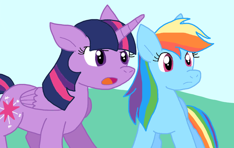 Size: 1163x739 | Tagged: safe, artist:cmara, derpibooru import, rainbow dash, twilight sparkle, twilight sparkle (alicorn), alicorn, pegasus, duo, duo female, female, image, png