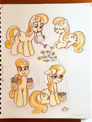 Size: 1536x2048 | Tagged: safe, artist:dandy, derpibooru import, junebug, earth pony, g4, adorabug, female, image, jpeg, solo, traditional art, watering can