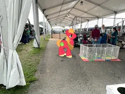 Size: 2016x1512 | Tagged: safe, derpibooru import, big macintosh, pony, g4, dutchess county fair, eeyup, image, irl, jpeg, new york, photo, ponies in real life, rhinebeck