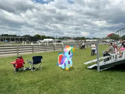 Size: 2016x1512 | Tagged: safe, derpibooru import, rainbow dash, pony, g4, dutchess county fair, image, irl, jpeg, new york, photo, ponies in real life, rhinebeck