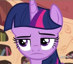 Size: 640x562 | Tagged: safe, derpibooru import, screencap, twilight sparkle, twilight sparkle (alicorn), alicorn, pony, g4, testing testing 1-2-3, cropped, disappointed, female, golden oaks library, image, jpeg, library, mare, solo, upper body, watermark