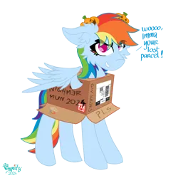 Size: 4096x4096 | Tagged: safe, artist:vinyvitz, derpibooru import, rainbow dash, pegasus, pony, box, derpibooru exclusive, ear fluff, eyelashes, female, grammar, grammar error, hairpin, halloween, holiday, image, jack-o-lantern, looking at you, marker drawing, mlp fim's fourteenth anniversary, multicolored hair, multicolored tail, png, polish, pony in a box, pumpkin, qr code, simple background, smiling, solo, speech, spread wings, standing, tail, talking, text, traditional art, transparent background, wings