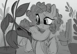 Size: 3550x2500 | Tagged: safe, artist:crimmharmony, derpibooru import, oc, oc:gaiyah, insect, ladybug, pony, image, looking at something, monochrome, plant, png, sketch, smiling