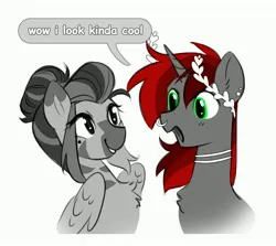 Size: 4096x3660 | Tagged: safe, artist:opalacorn, derpibooru import, oc, oc:silver stream, oc:void, unofficial characters only, alicorn, pegasus, pony, zebra, bust, dialogue, duo, duo male and female, female, grin, image, jpeg, male, mare, nose piercing, nose ring, open mouth, open smile, palette swap, piercing, recolor, simple background, smiling, stallion, white background, zebra oc