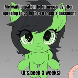 Size: 1897x1896 | Tagged: safe, artist:marshmallowfluff, derpibooru import, oc, oc:anonfilly, unofficial characters only, pony, cute, female, filly, foal, image, implied kidnapping, looking at you, meme, png, solo, text