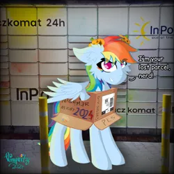 Size: 4096x4096 | Tagged: safe, artist:vinyvitz, derpibooru import, rainbow dash, pegasus, pony, g4, background, box, derpibooru exclusive, ear fluff, eyelashes, female, grammar, grammar error, hairpin, halloween, holiday, image, jack-o-lantern, looking at you, marker drawing, mlp fim's fourteenth anniversary, multicolored hair, multicolored tail, png, polish, pony in a box, pumpkin, qr code, smiling, solo, speech, spread wings, standing, tail, talking, text, traditional art, wings