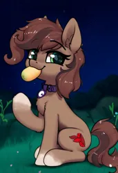 Size: 832x1216 | Tagged: safe, ai content, anonymous artist, derpibooru import, machine learning assisted, oc, oc:scarfy bat-heart, unofficial characters only, earth pony, pony, brown coat, brown mane, brown tail, chest fluff, cutie mark, ear fluff, eating, eyebrows, eyebrows visible through hair, eyes open, female, female oc, food, grass, happy, image, jewelry, mango, mare, necklace, night, png, raised hoof, sitting, smug, solo, stars, tail