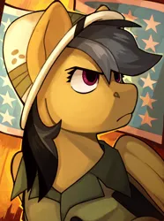 Size: 1040x1400 | Tagged: safe, artist:bunnyshrubby, derpibooru import, daring do, pegasus, pony, equestria at war mod, g4, bust, clothes, female, flag of equestria, hat, image, mare, png, portrait, solo, wings