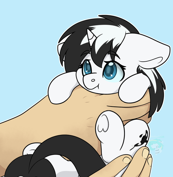 Size: 2164x2216 | Tagged: safe, artist:rokosmith26, derpibooru import, oc, oc:shouka, orca, orca pony, original species, pony, cheek fluff, commission, cute, female, floppy ears, high res, holding, holding a pony, horn, image, in goliath's palm, looking up, mare, png, pouting, simple background, size difference, solo, two toned mane, underhoof, ych result, your character here