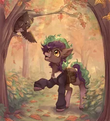 Size: 3362x3701 | Tagged: safe, artist:thekiwibunny, derpibooru import, oc, oc:forest dew, oc:willow, unofficial characters only, bird, earth pony, owl, pony, autumn, bag, book, clothes, coat markings, detailed background, forest, full body, happy, high res, image, leaf, leaves, male, markings, multicolored hair, nature, plant, png, shading, socks (coat marking), solo, stallion, sweater, tree, unshorn fetlocks