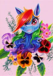 Size: 4056x5756 | Tagged: safe, artist:cahandariella, derpibooru import, rainbow dash, pegasus, pony, bust, colored pencil drawing, flower, foal, front view, image, jpeg, looking at you, portrait, smiling, smiling at you, solo, traditional art, younger