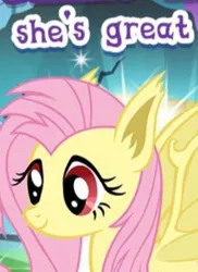 Size: 273x376 | Tagged: safe, derpibooru import, screencap, fluttershy, bat pony, pony, g4, bat ponified, cropped, cute, flutterbat, gameloft, image, meme, my little pony: magic princess, png, race swap, shyabetes, wow! glimmer