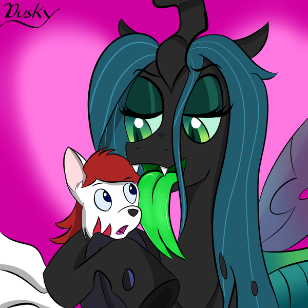 Size: 2000x2000 | Tagged: safe, derpibooru import, queen chrysalis, oc, oc:tsutaru arcus, changeling, changeling queen, g4, bedroom eyes, face licking, fangs, female, hug, image, implied vore, kitsune, licking, png, surprised, tongue out, vore