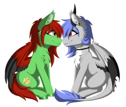 Size: 3600x3038 | Tagged: safe, alternate version, artist:melodytheartpony, derpibooru import, oc, oc:melody silver, oc:raist, unofficial characters only, dracony, dragon, hybrid, pegasus, choker, commission, duo, ear piercing, facing each other, female, feral, happy, image, long mane, looking at each other, looking at someone, partner, piercing, png, shipping, short mane, signature, simple background, sitting, smiling, spread wings, white background, wings, ych result, your character here