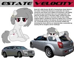 Size: 1353x1079 | Tagged: safe, artist:lrg!!, derpibooru import, oc, oc:estate velocity, unofficial characters only, pegasus, pony, car, chrysler 300, clothes, ear piercing, earring, image, jewelry, office lady, pantyhose, pegasus oc, pencil skirt, piercing, png, reference sheet, simple background, skirt, srt8, station wagon, white background, wings