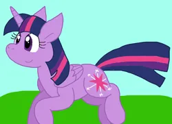 Size: 1152x833 | Tagged: safe, artist:cmara, derpibooru import, twilight sparkle, twilight sparkle (alicorn), alicorn, g4, female, image, png, solo