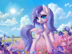 Size: 2000x1500 | Tagged: safe, artist:caddea, derpibooru import, oc, unofficial characters only, pegasus, pony, female, field, flower, image, mare, png, solo