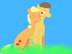 Size: 640x480 | Tagged: safe, artist:firekitty8, derpibooru import, applejack, caramel, earth pony, pony, g4, duo, duo male and female, female, grass, image, male, nuzzling, outdoors, png, ship:carajack, shipping, stallion, straight