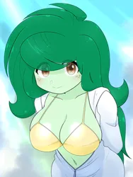 Size: 1750x2327 | Tagged: suggestive, artist:batipin, derpibooru import, wallflower blush, human, equestria girls, g4, 2d, bangs, belly, belly button, bikini, breasts, busty wallflower blush, cleavage, clothes, cute, eyebrows, eyebrows visible through hair, female, flowerbetes, freckles, hoodie, image, jacket, looking at you, messy hair, png, smiling, smiling at you, solo, string bikini, swimsuit, yellow bikini, zipper