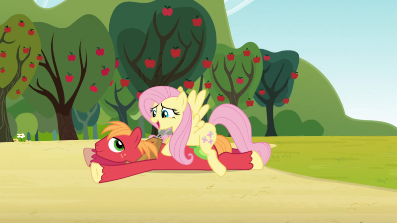 Size: 1920x1080 | Tagged: safe, anonymous artist, derpibooru import, edit, edited screencap, screencap, big macintosh, fluttershy, earth pony, pegasus, pony, g4, too many pinkie pies, apple, apple tree, character swap, duo, duo male and female, female, fluttermac, food, image, looking at each other, looking at someone, lying down, male, mare, open mouth, open smile, outdoors, png, prone, shipping, smiling, smiling at each other, sploot, stallion, straight, sweet apple acres, tree