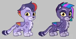 Size: 1107x566 | Tagged: safe, derpibooru import, official, big cat, leopard, snow leopard, g5, my little pony: tell your tale, spoiler:g5, spoiler:my little pony: tell your tale, spoiler:tyts02e22, allura, alterro, aq bars, brother and sister, female, image, kitten allura, kitten alterro, male, no place like home, png, siblings, winged big cat, younger