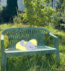 Size: 2508x2736 | Tagged: safe, derpibooru import, derpy hooves, pegasus, pony, backyard, female, image, irl, jpeg, mare, nature, outdoors, photo, ponies in real life, sleeping, vibing