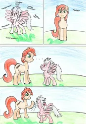 Size: 972x1400 | Tagged: safe, artist:fleximusprime, derpibooru import, unnamed character, oc, earth pony, pegasus, behaving like a bird, earth pony oc, image, pegasus oc, png, puffed chest, size difference, slap, spread wings, wings