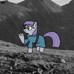 Size: 800x800 | Tagged: safe, artist:dkwzurt, derpibooru import, maud pie, earth pony, pony, g4, clothes, image, png, real life background, solo, stone