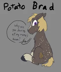 Size: 974x1146 | Tagged: safe, artist:thebathwaterhero, derpibooru import, oc, oc:potato brad, unofficial characters only, earth pony, image, png, socks (coat marking)