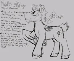 Size: 653x542 | Tagged: safe, artist:thebathwaterhero, derpibooru import, oc, oc:hula hoop, pony, image, male, png, stallion