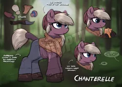 Size: 4000x2876 | Tagged: safe, artist:selenophile, derpibooru import, oc, unofficial characters only, earth pony, pony, adoptable, clothes, dialogue, ear piercing, earring, female, forest, image, jewelry, knife, mare, mushroom, nature, piercing, png, reference sheet, scarf, shoes, sweater, tail, tail wrap, text, tree, watermark